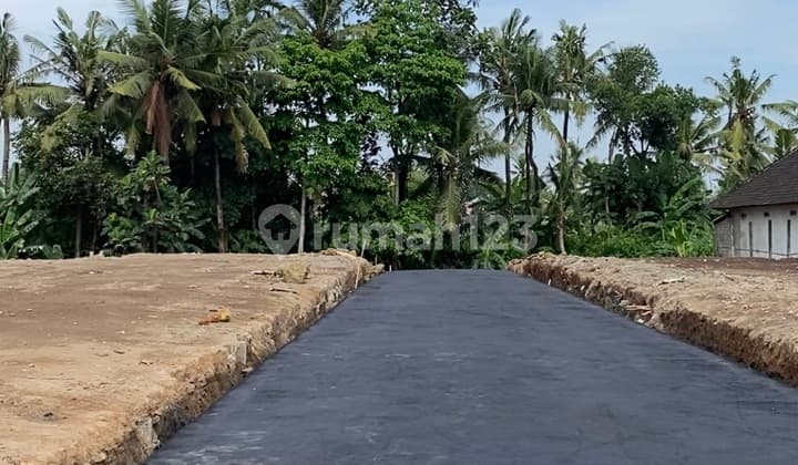 Tanah Kavling Pinggir Jalan Utama View Sawah di Pering, Gianyar dekat Bypass IB Mantra