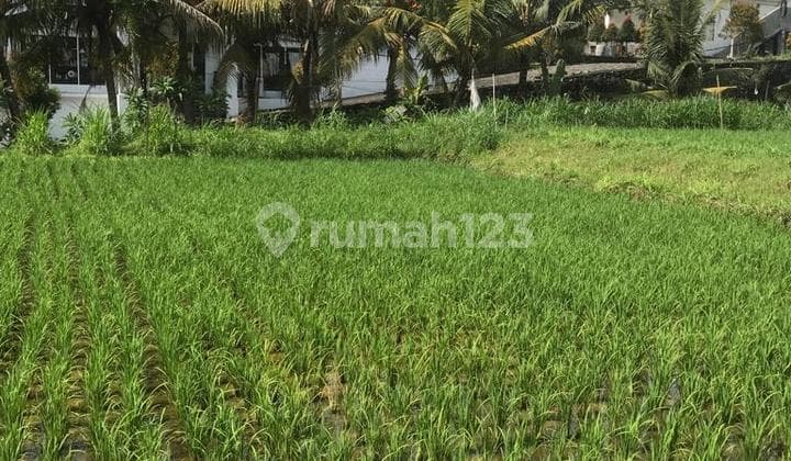 Tanah 5 Are Sudah Shm Itr Pemukiman Sanur Denpasar