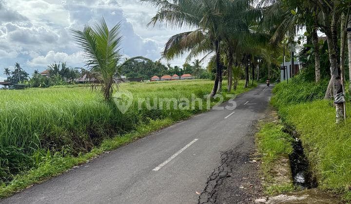 Tanah Kavling Bentuk Ngantong Pinggir Jalan Di Ubud