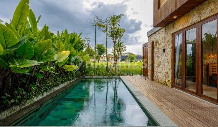 Villa Brand New With Rice Field View in Cemagi Canggu