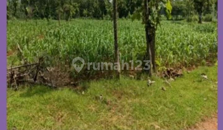 For sale, strategic and cheap land at a loss in Ry. Merak Urak.