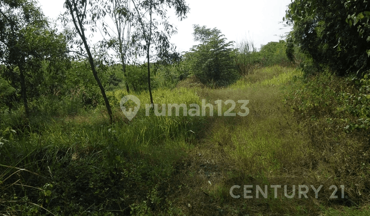 Industrial and Commercial Land for Immediate Sale