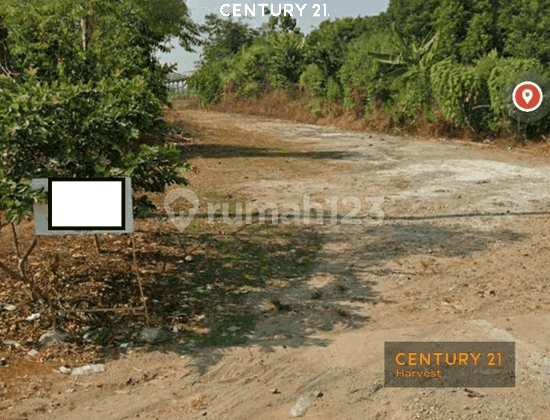 Dijual Cepat Tanah Strategis Siap Dibangun di Purwakarta