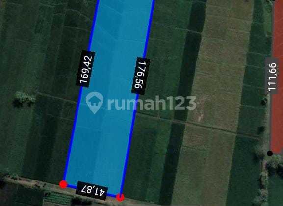 Tanah Area Karanganyar Cocok untuk Perumahan Tanah Area Karanganyar Cocok untuk Perumahan