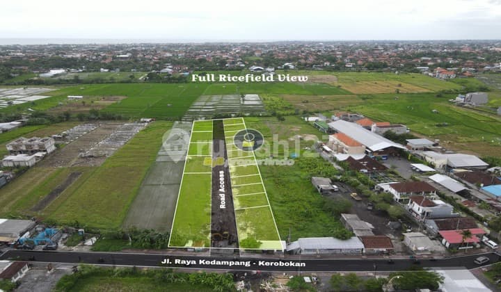 Disewakan Tanah Kavling Lokasi Kedampang Plot 2-10 Are