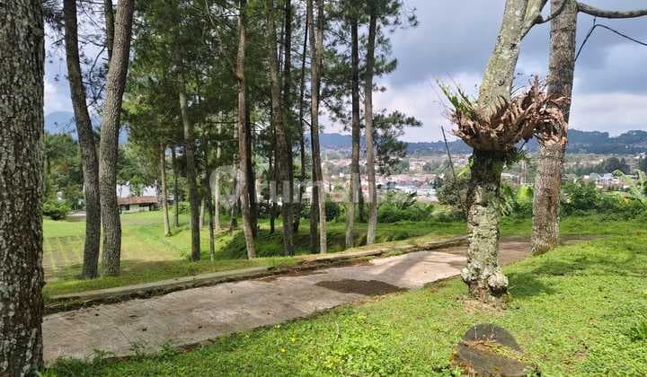 Tanah Luas Strategis Jalan Raya Lembang Bandung