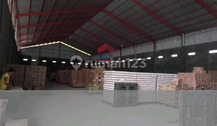 Gudang Rendeng Kabupaten Cirebon Jati Masuk Kontainer