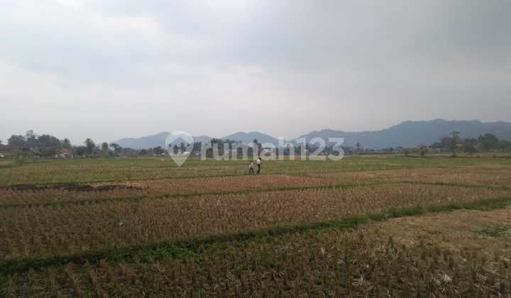 Land for Sale, Suitable for Industry, Main Road Cipeuyeum Ciranjang Cianjur