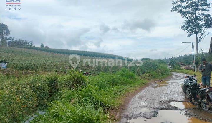 Tanah Cibeber Ciwidey Bandung