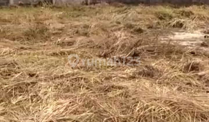 Tanah Strategis Mainroad Nanjung Bandung