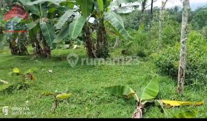 Tanah Strategis Pagerageung Tasikmalaya