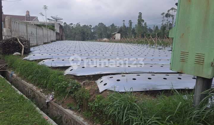 TANAH DIJUAL – LOKASI STRATEGIS PINGGIR JALAN RAYA! Garut Cikajang