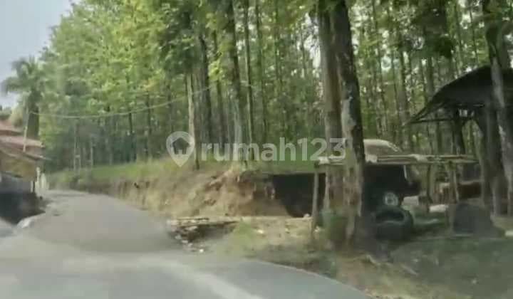 Wide Land Bonus Teak Garden Sukabumi