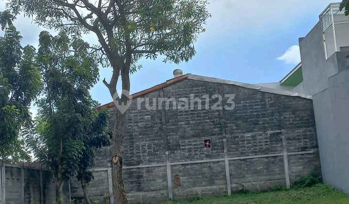 Tanah Dijual Di Citraland Cluster Woodland Tanah Dijual Di Citraland Cluster Woodland