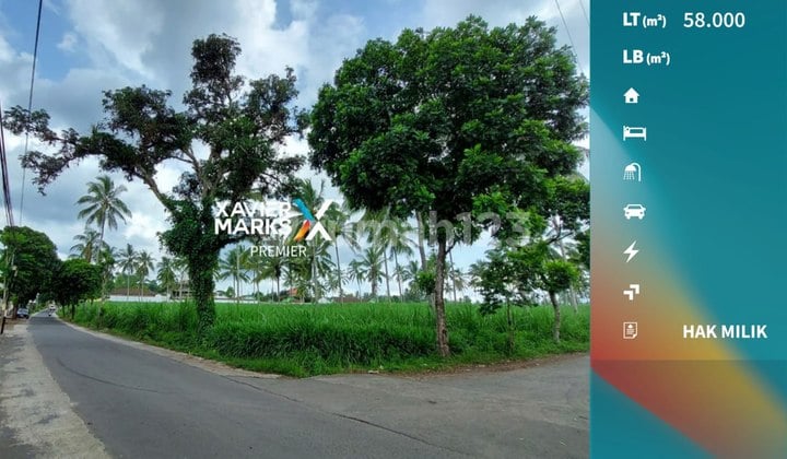 Dijual Cepat Tanah Lokasi Strategis Pinggir Jalan Utama Dampit Malang