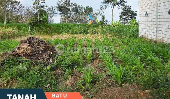 Super Murah Dijual Tanah Kavling di Jl Jeruk, Oro-Oro Ombo Batu