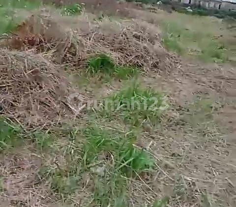 Dijual Tanah Di Kalideres Lokasi Strategis Dekat Jalan