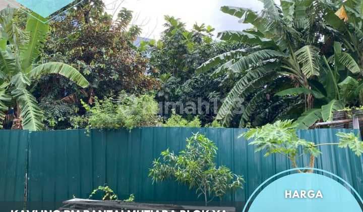 Kavling Eksklusif di Pantai Mutiara 495 M2 Murah Nego Sampai Deal