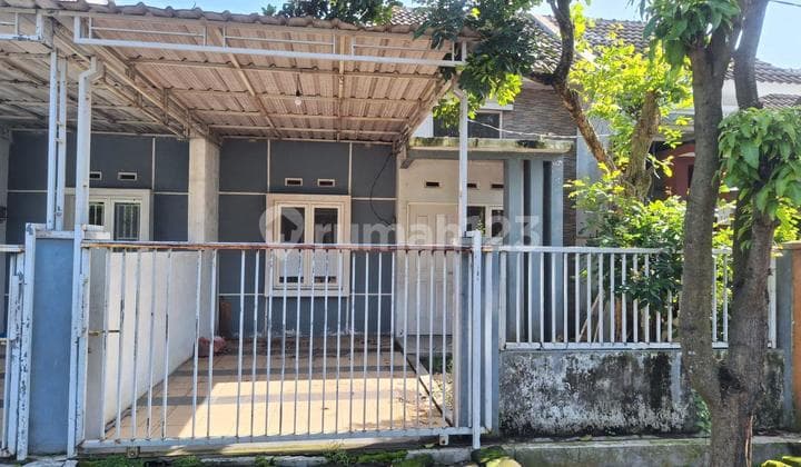 Rumah Murah Lokasi Citra Diamond Regency Bebas Banjir