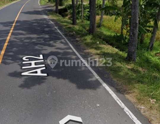 Tanah 30 Are Area Selemadeg Tabanan Bali