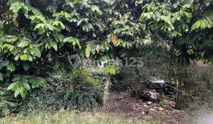 Di jual Tanah Di Kampung Sawah, pondok Gede Bekasi