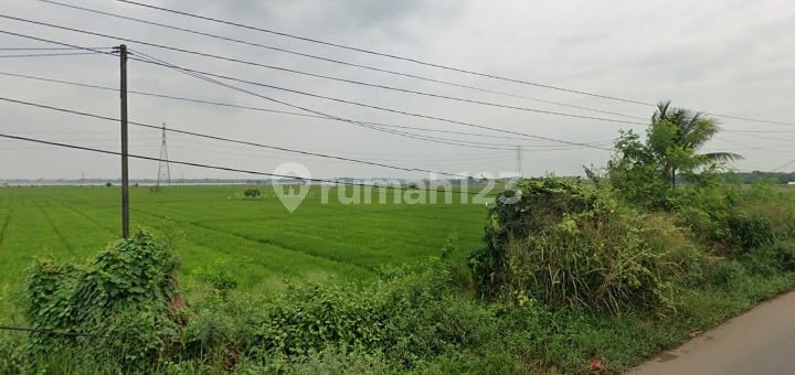 Premium Location Paddy Field Precisely on the Edge of the Main Highway in Karawang