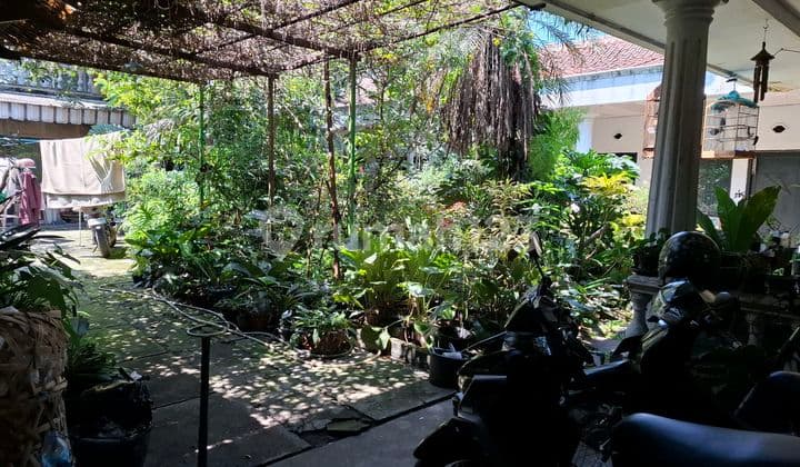 Rumah Tua Hitung Tanah Mainroad Jalan Purnawarman Cocok Untuk Kos²an, Hotel, Dll