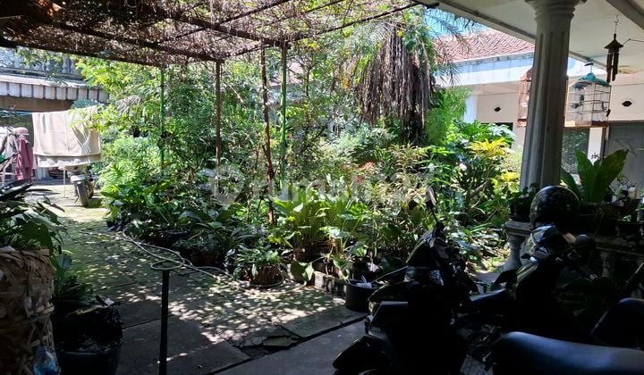 Rumah Tua Hitung Tanah Mainroad Jalan Purnawarman Cocok Untuk Kos²an, Hotel, Dll