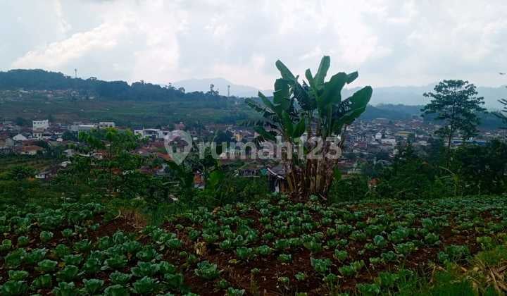 Tanah Kavling Pasirjambu Ciwidey Dijual Lokasi Strategis Ramai