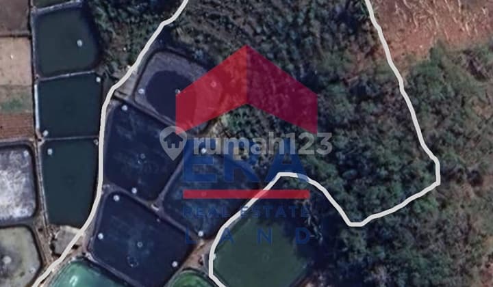 Tanah 13.000 M2, SHM, di Pacitan