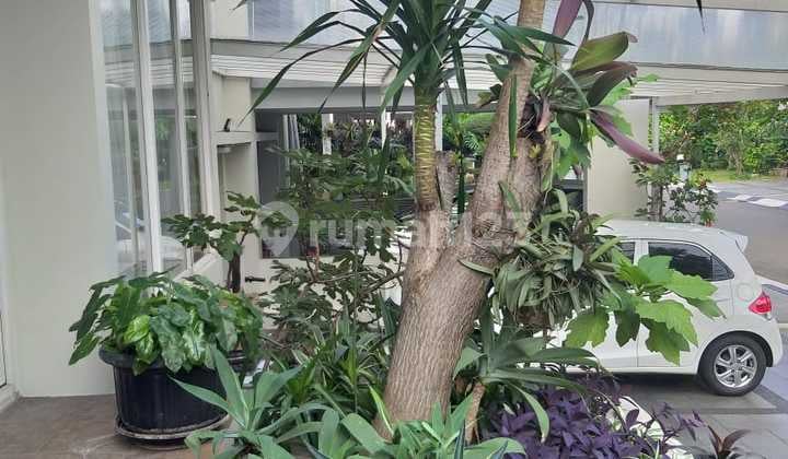 Rumah Bagus Siap Huni Lokasi Kebayoran Bintaro - 0321