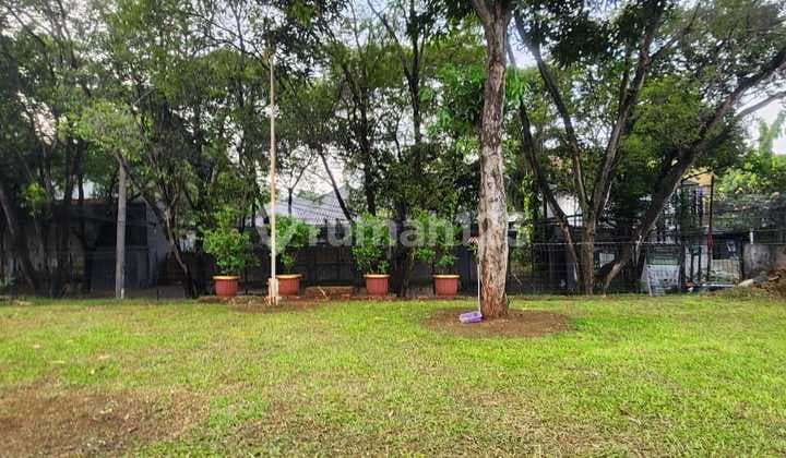 Tanah Kavling Luas Strategis Cilandak Margasatwa Jakarta Selatan