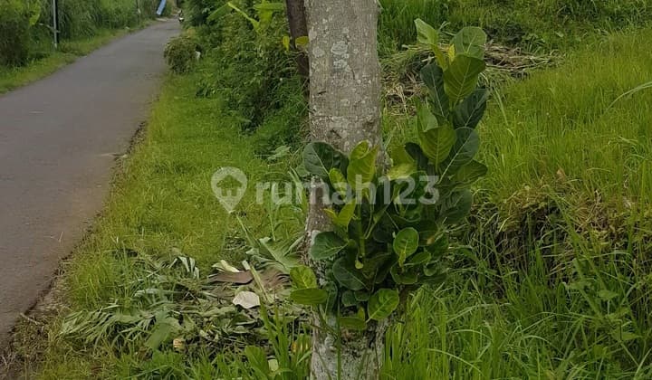 For sale. Land located on the main road with mountain view in Malang city.