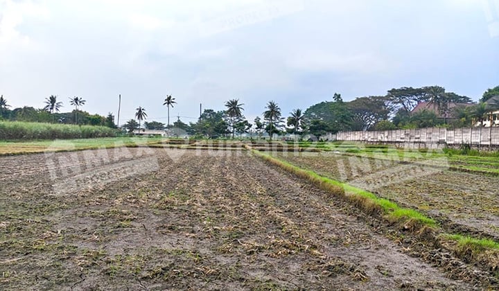 Tanah Luas Masuk Zona Perindustrian Lokasi Raya Tlogowaru Kedungkandang, Malang