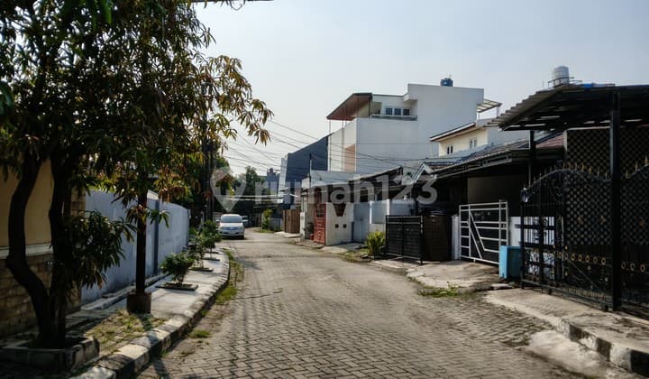 Sewa Rumah Taman Surya Harga Nego