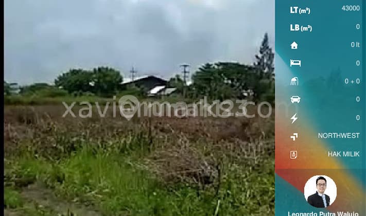 Tanah 4,3 hektar dimensi 100x400 meter cocok Untuk industri pupuk,keramik,genteng,gypsum