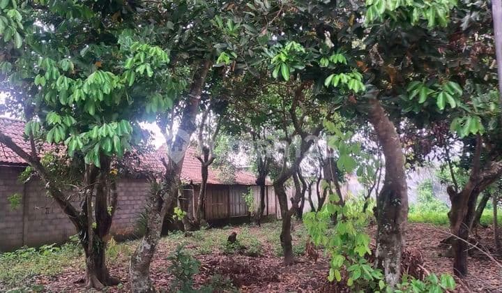 Tanah Strategis di Jl Gitogati ke Selatan