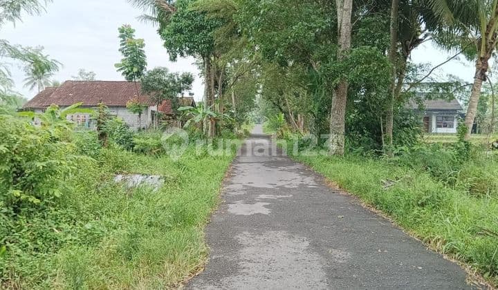 Tanah cocok untuk di kapling2/perumahan di jl Palagan km14