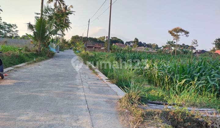 Tanah Jual (dekat Resto Kopi Klotok) Jl Kaliurang Km15