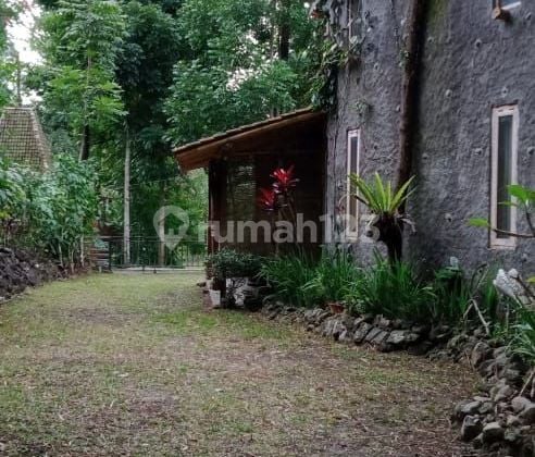 Villa Asri Di Kaliurang, Sleman Yogya