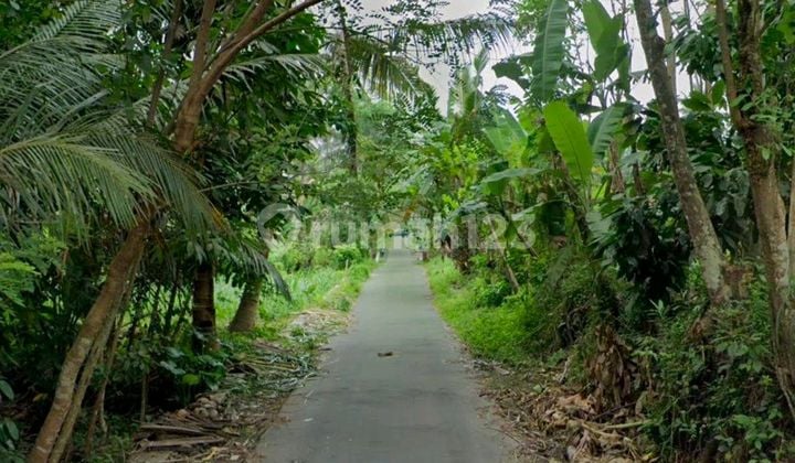 Tanah Lingkungan Asri Dekat Dari Jl Raya, Di Jl Kaliurang Km16
