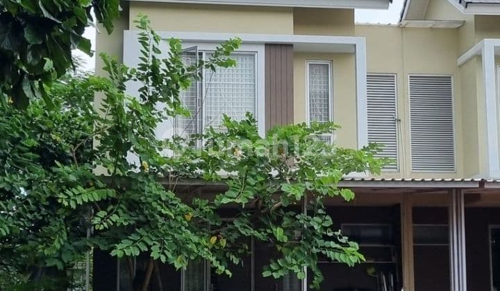 Semi-Furnished House in Malibu Village Cluster, Gading Serpong