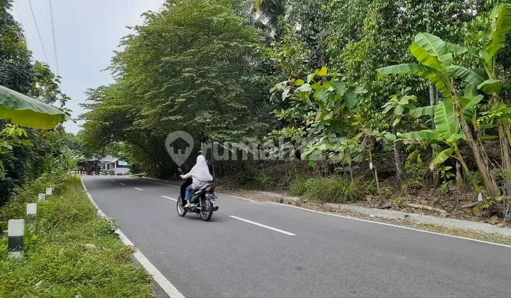 Tanah Strategis Gamping Dekat Umy Jalan Lebar dan Suasana Tenang Cocok untuk Hunian atau Villa