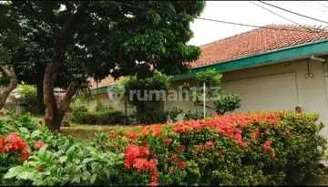 For Sale Cheap House Flood-Free Wide Road Clean and Lush in Pondok Pinang South Jakarta