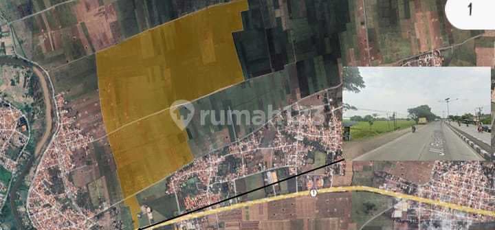 Tanah Seluas 70 Hektar di Desa Mundusari Pamanukan