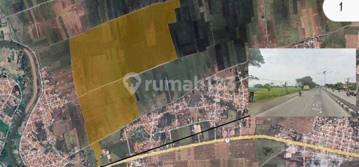 Tanah Seluas 70 Hektar di Desa Mundusari Pamanukan