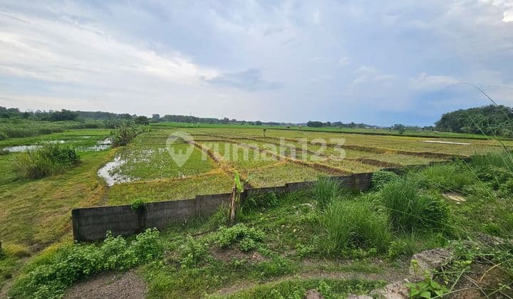 Industrial Land in Subang, 40 Hectares in Area