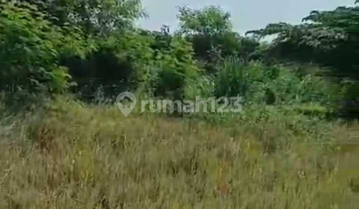 Tanah Luas 4,3 Hektar di Daerah Gunung Sindur Bogor