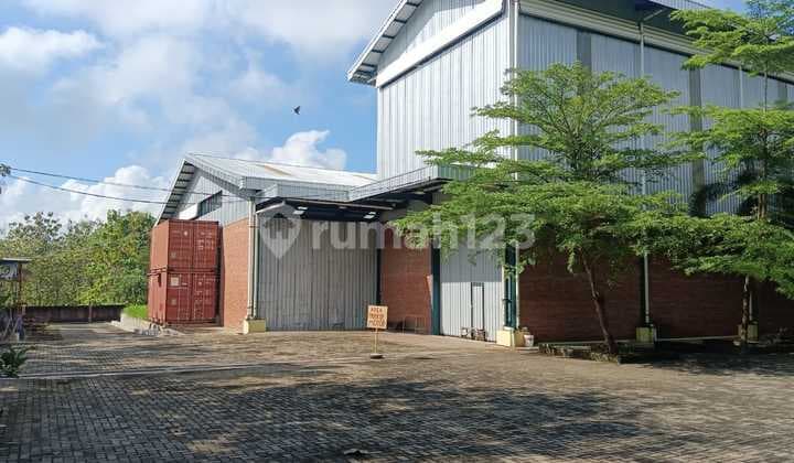 Land Area 40869 m² in Adirejo Village, Blora