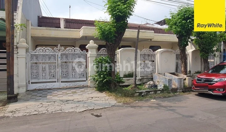 Disewakan Rumah di Dharmahusada Indah Utara Surabaya Disewakan Rumah di Dharmahusada Indah Utara Surabaya
